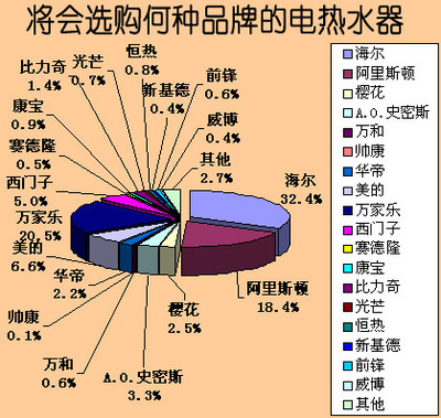 2007年中国电热水器市场消费行为调查报告