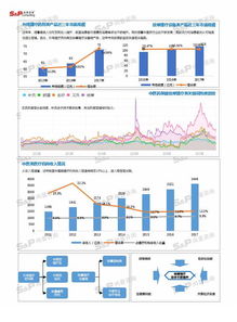 中国中医保健行业市场调研分析与发展前景展望